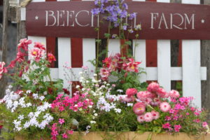 Beech Hill Farm_Lemieux